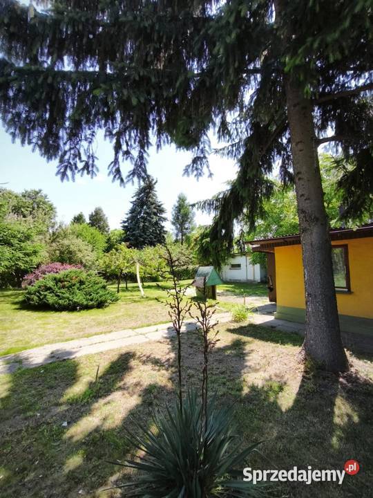 Działka rekreacyjna ogródek działkowy ROD małopolskie Kraków