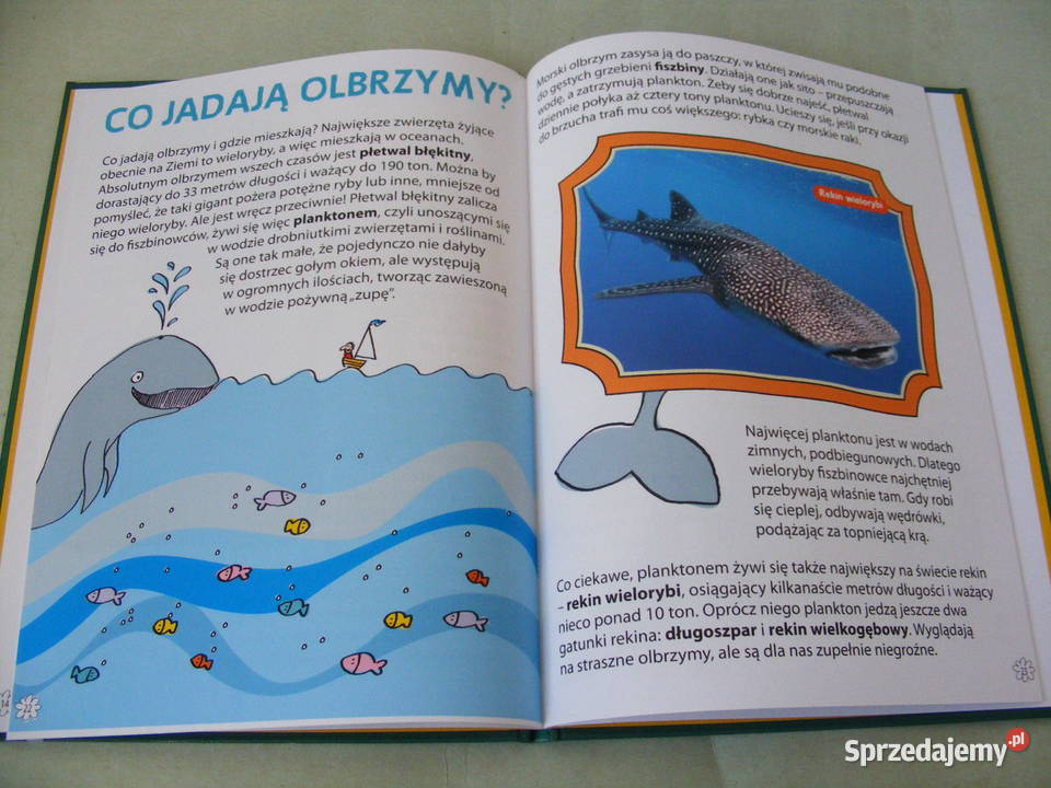 Świat zwierząt Tajemnice zwierząt Dlaczego Rok wydania 2009 Oborniki Śląskie