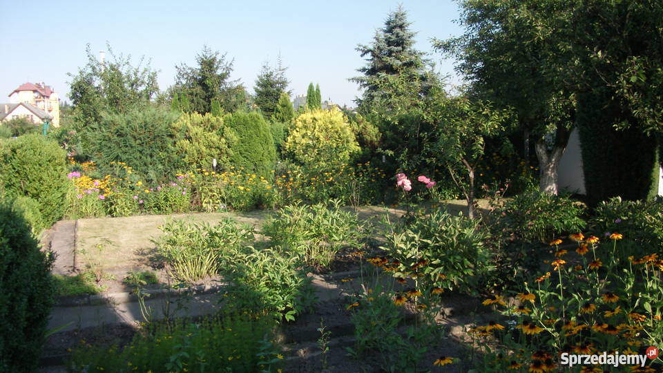 Sprzedam ogródek działkowy na terenie ROD HUTNIK śląskie Chorzów