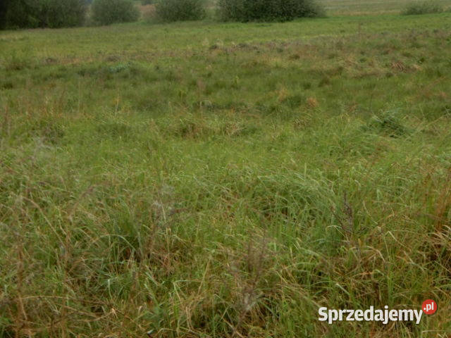 Syndyk sprzeda udział 18 Oborzany działki 240 Nieruchomości