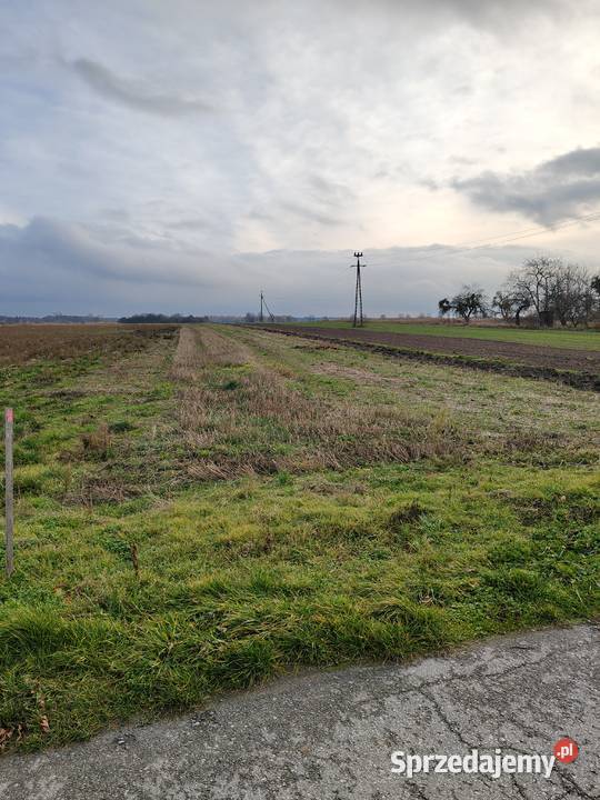 Działka budowlana w miejscowości Wygoda z Policzna