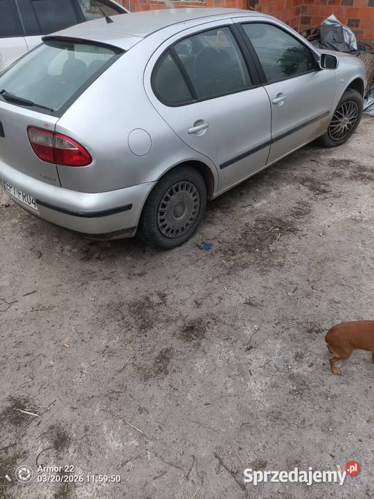 Swat Leon wielkopolskie sprzedam