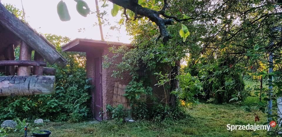 Ogródek działkowy Czeladź Piaski rekreacyjna Grunty i działki sprzedam