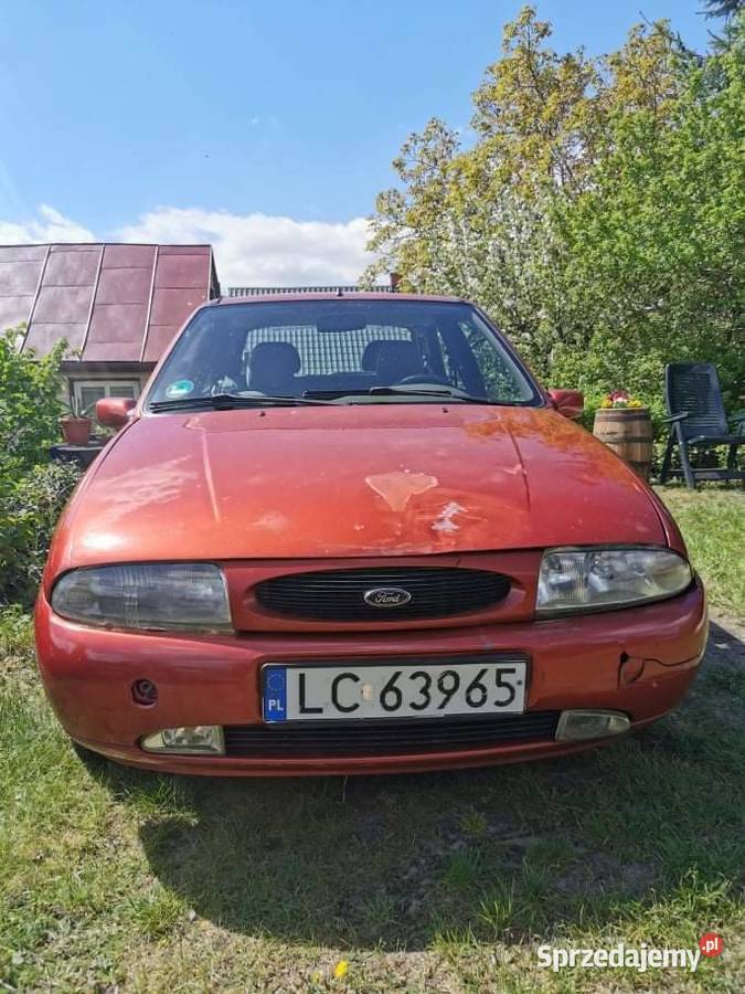 Zgrabny Fordzik kobiety Fiesta Rejowiec