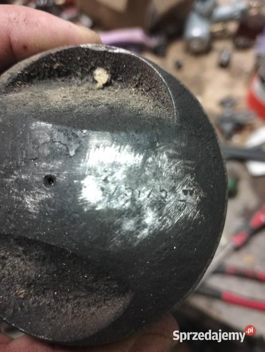 Junak tlok Hermanowa sprzedam