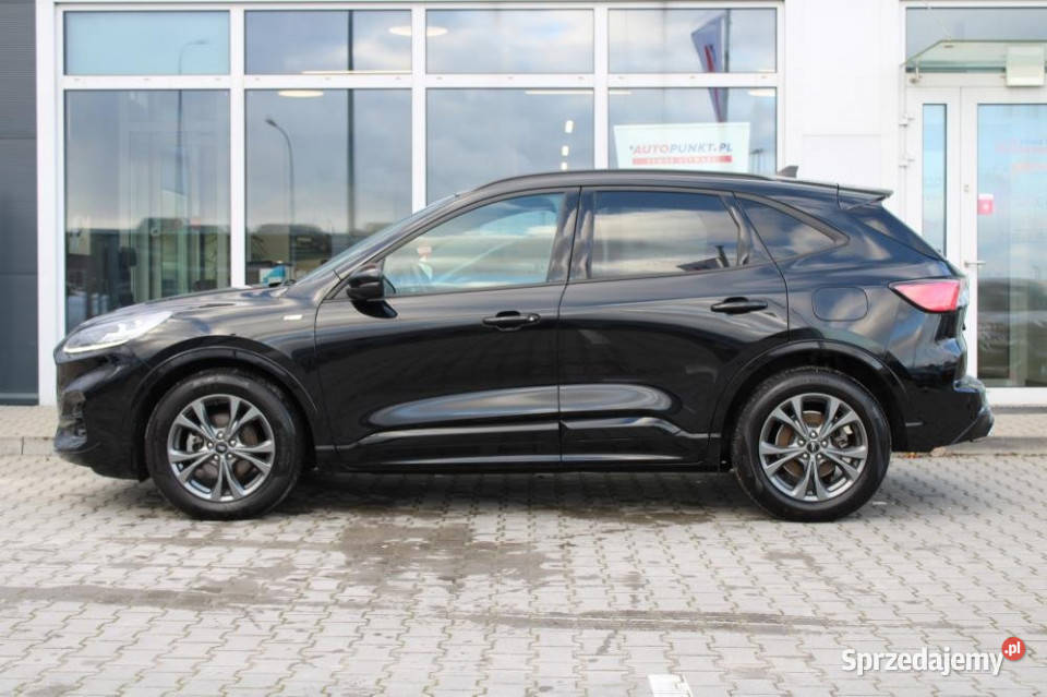 FORD Kuga 2022r BO Hybryda Alcantara Kamera pomorskie