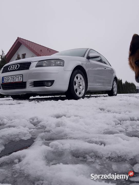 Audi A3 8P 20 TDI salon polska Samochody osobowe Środa Śląska