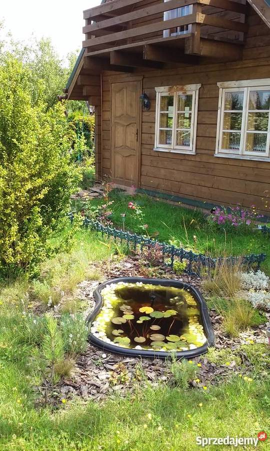 Domek letniskowy z bala na ogródach działkowych siatka sprzedam