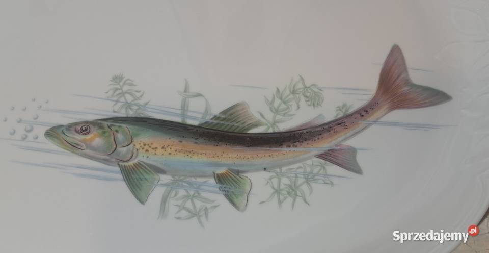 piękny duży porcelanowy półmisek patera na rybę mazowieckie Warszawa