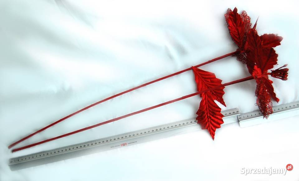 Gwiazda betlejemska na piku 72 dekoracja