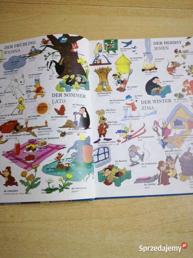 Wielki ilustrowany słownik niemiecko polski Rok wydania 1991 lubelskie Lublin