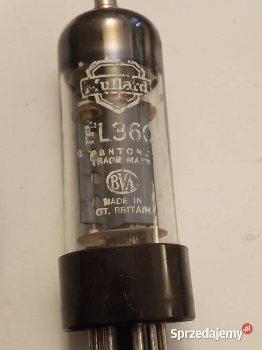 LAMPY ELEKTRONOWE lata 50 60te 6H7C EBF89 504 Nieporęt