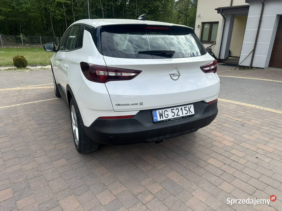 Opel Grandland X Lipówki