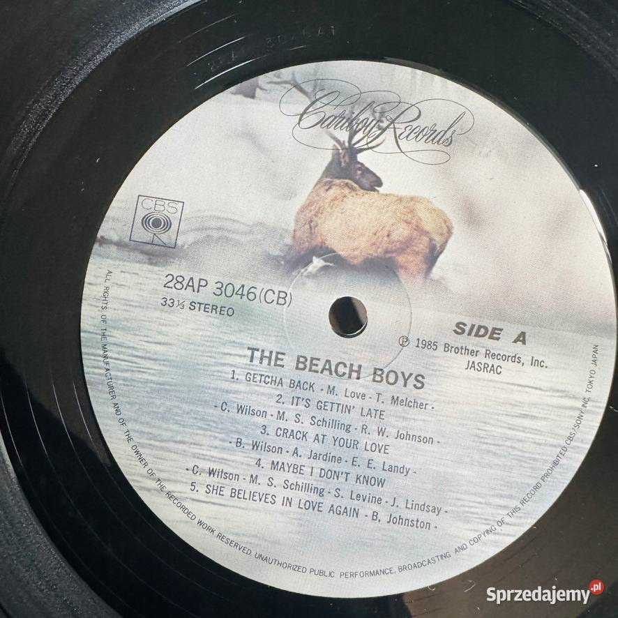 The Beach Boys The Beach Boys LP CRB26378 VG The Szczecin sprzedam