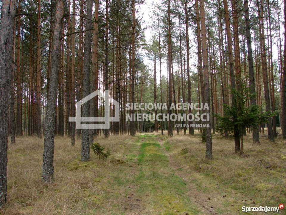 Sprzedaż działki 165900m2 gaz Nieruchomości