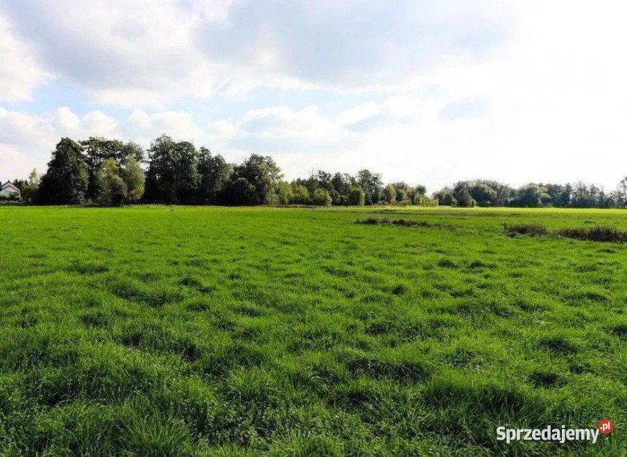 Cholerzyn działka budowlana 8 arów małopolskie