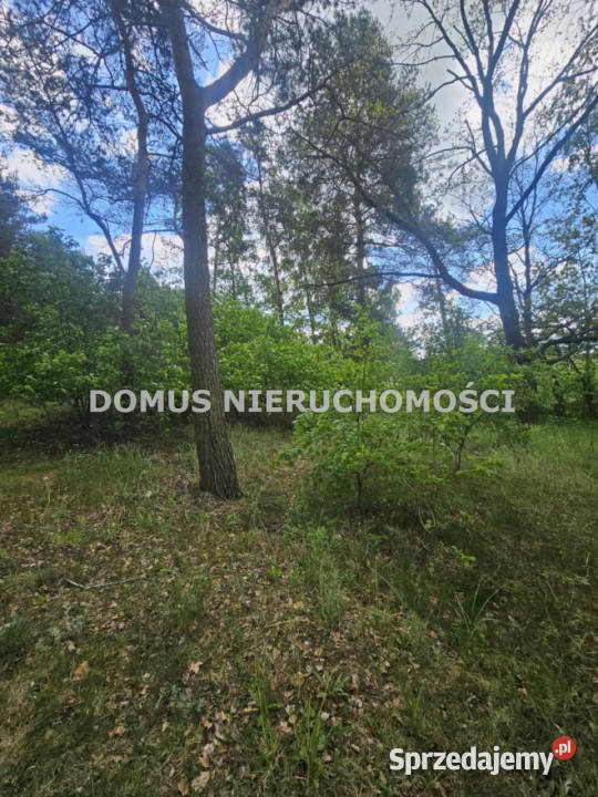 sprzedaży gruntu Brzeziny 2096m2 łódzkie