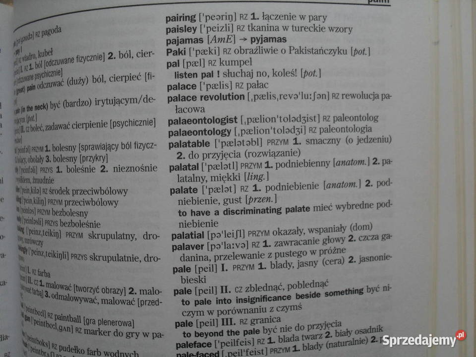 Słownik angielsko-polski, polsko-angielski z gramatyką Warszawa