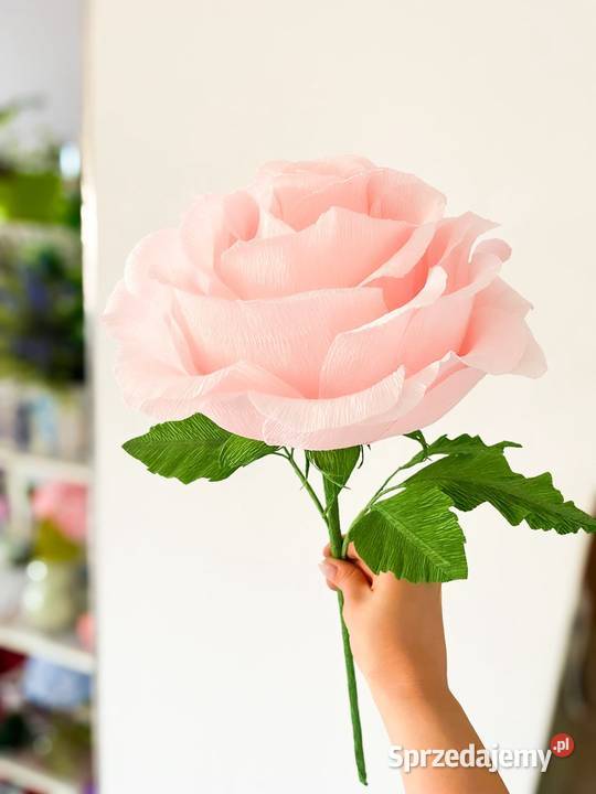 Duża róża z krepiny włoskiej lubuskie Zielona Góra