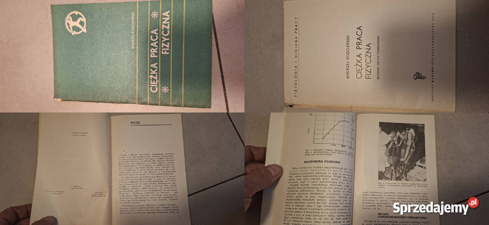 Ciężka praca fizyczna A Rogoziński wyd 1973