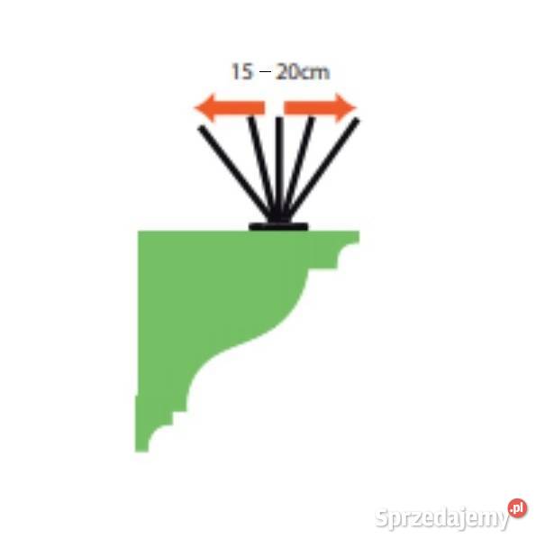 Super skuteczne kolce na gołębie ptaki