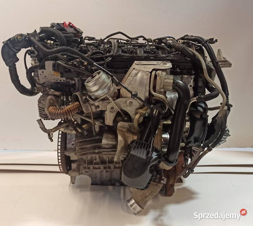VOLVO V70 S80 XC70 SILNIK D5244T15 24 D5 dolnośląskie