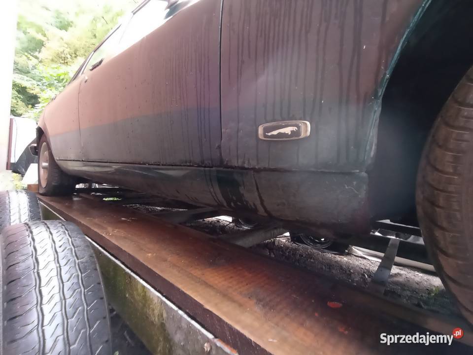 2 sztuki Jaguar XJ6 seria 3 XJ6 Kraków