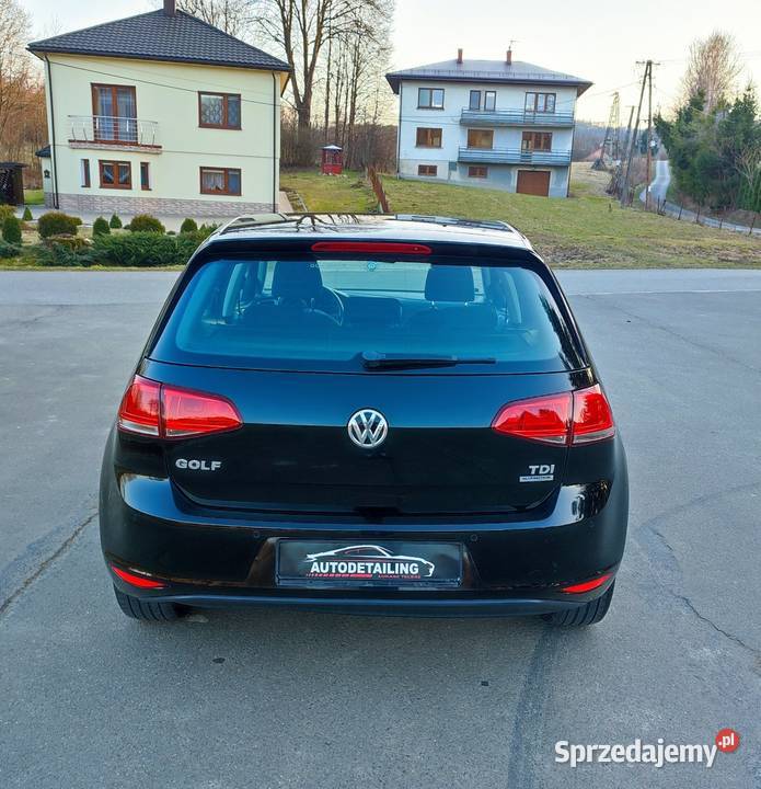 Volkswagen Golf VII 16 TDI bez dwumasy 90 2013 podkarpackie