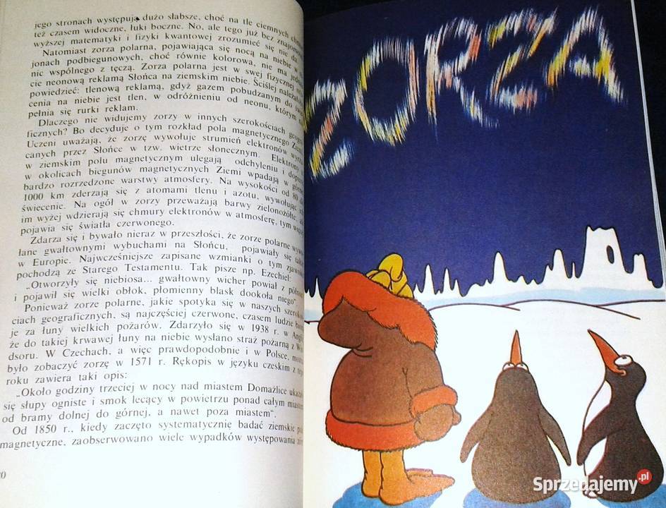 Dlaczego sól jest słona czyli odpowiedzi na Rok wydania 1984 lubelskie Chełm