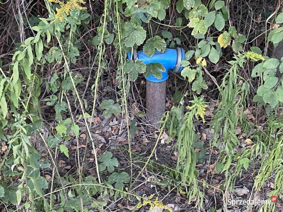 Działka budowlana w spokojnej okolicy Siestrzeń