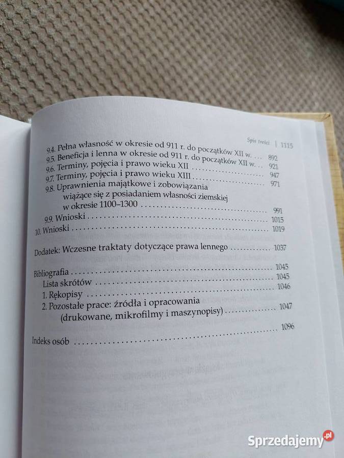 Lenna i wasale Reinterpretacja średniowiecznych Książki naukowe i popularnonaukowe