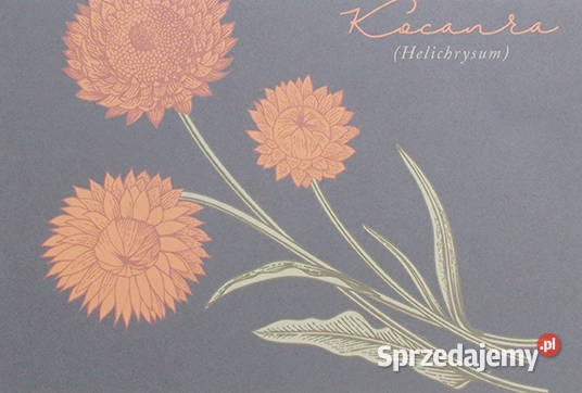 rośliny plakat A4 kwiaty plakat 21x30 retro wielokolorowy Szczecin