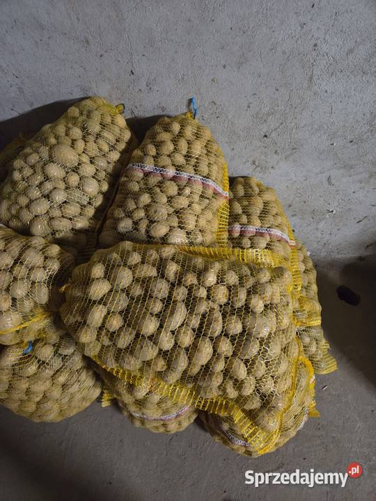 Sprzedam ziemniaki odpadowe Wilczyn