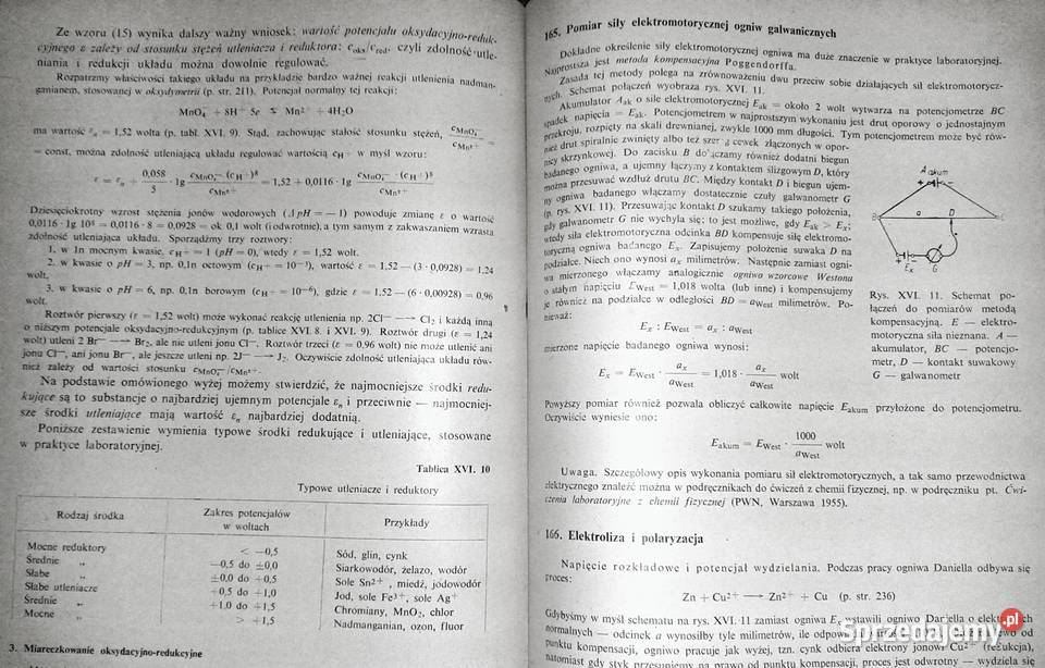 Ogólne zasady biologii Andrzej Grębecki Pozostałe Chełm