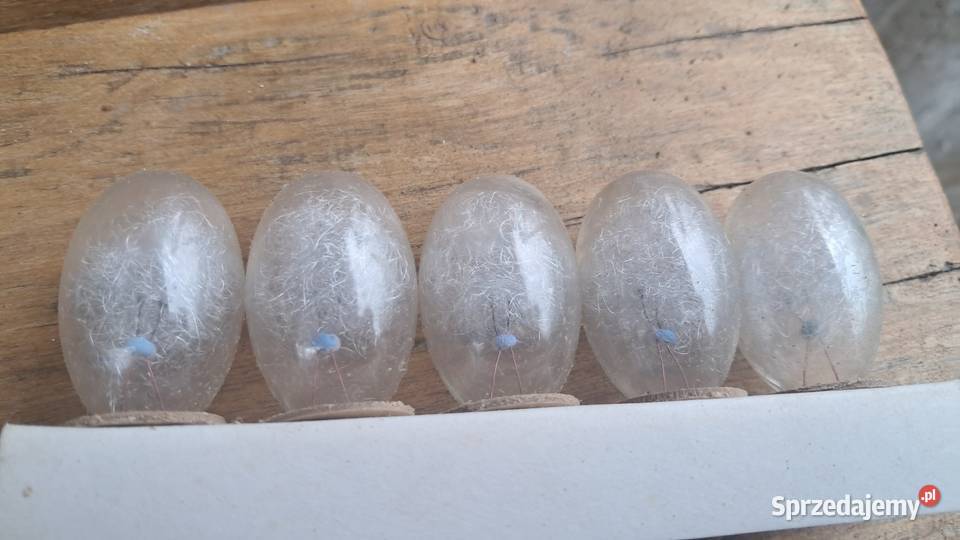 Polam Żarówki Spaleniowe LB1 Do Lamp Błyskowych Antyki, Sztuka, Kolekcje