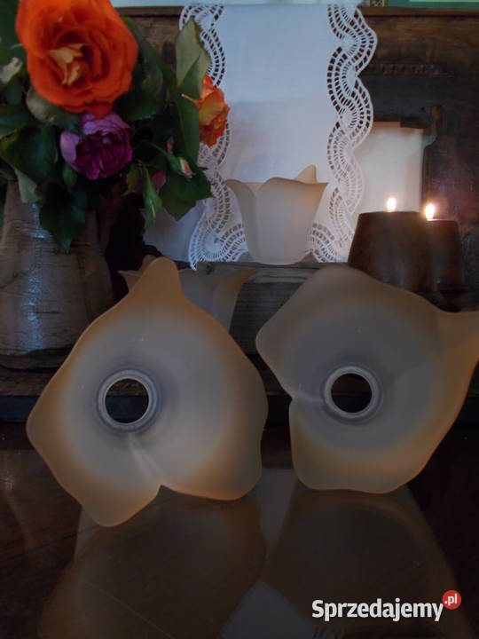 Piękny Klosz Kwiat Kalii Grube Szkło Lata 90 Szczecin