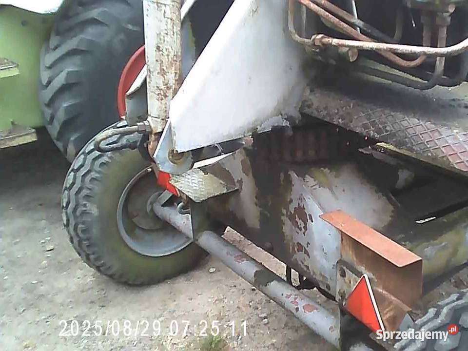 ładowacz cyklop Złotniki Kujawskie