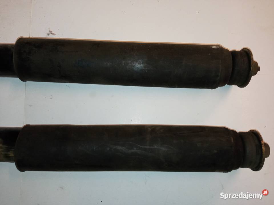 Amortyzatory Bilstein B360704 Mercedes W123
