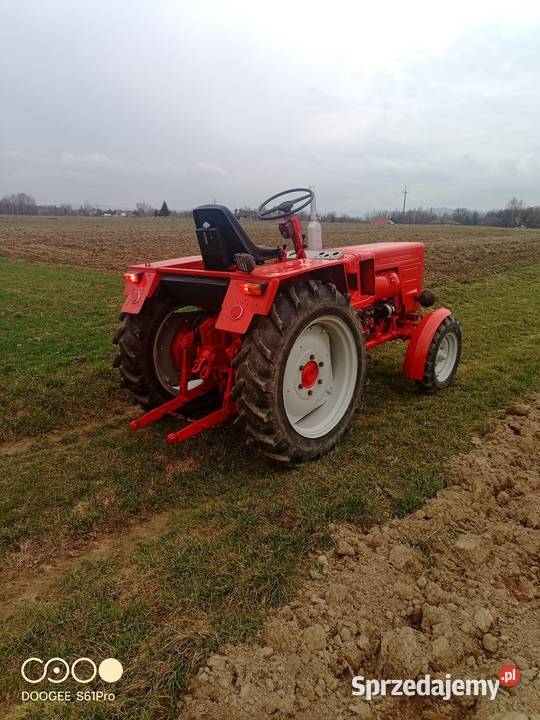 Władimiriec Rusek t25 Bulowice sprzedam