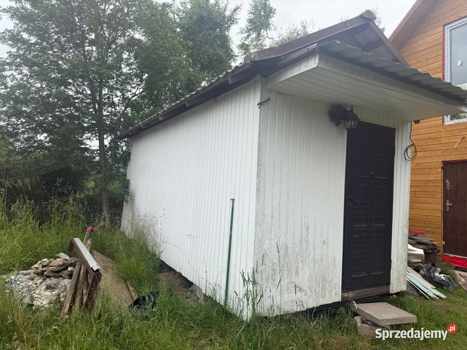 Barak holenderka pomorskie Warszawa