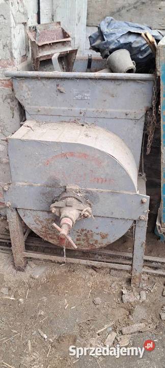 Śrutownik kamienny Brzeziny