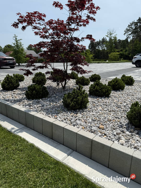 Obrzeże trawnikowe z betonu nowoczesne obrzeża