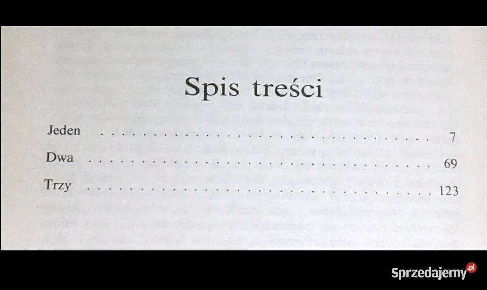 Ostatnia szarża David Morrell lubelskie Chełm