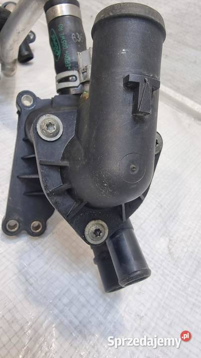 FORD FIESTA MK7 10 ECOBOOST KRÓCIEC PRZEWÓD osobowe Węże chłodnicy sprzedam