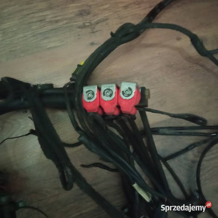 Instalacja sekwencyjna stag 3006 6 cylindrów zachodniopomorskie