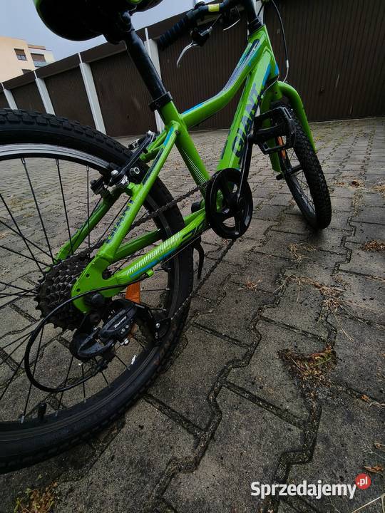 Rowerek Giant 20 stan Pleszew