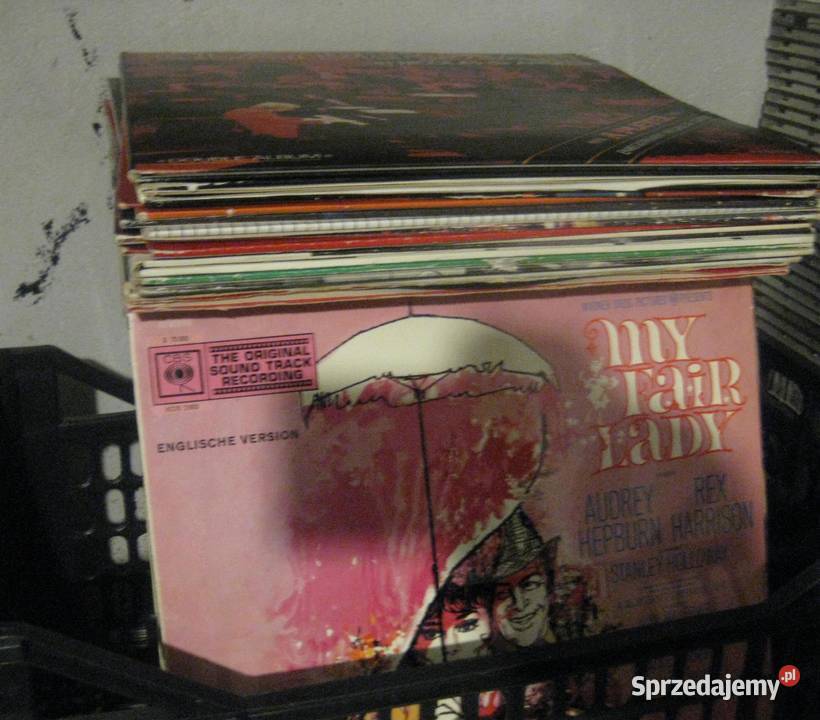 płyty winylowe dużo ok 600 Poznań