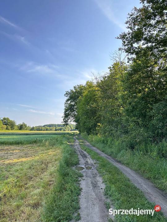 Działka z możliwością zabudowy 22zł/m2 Rudawica