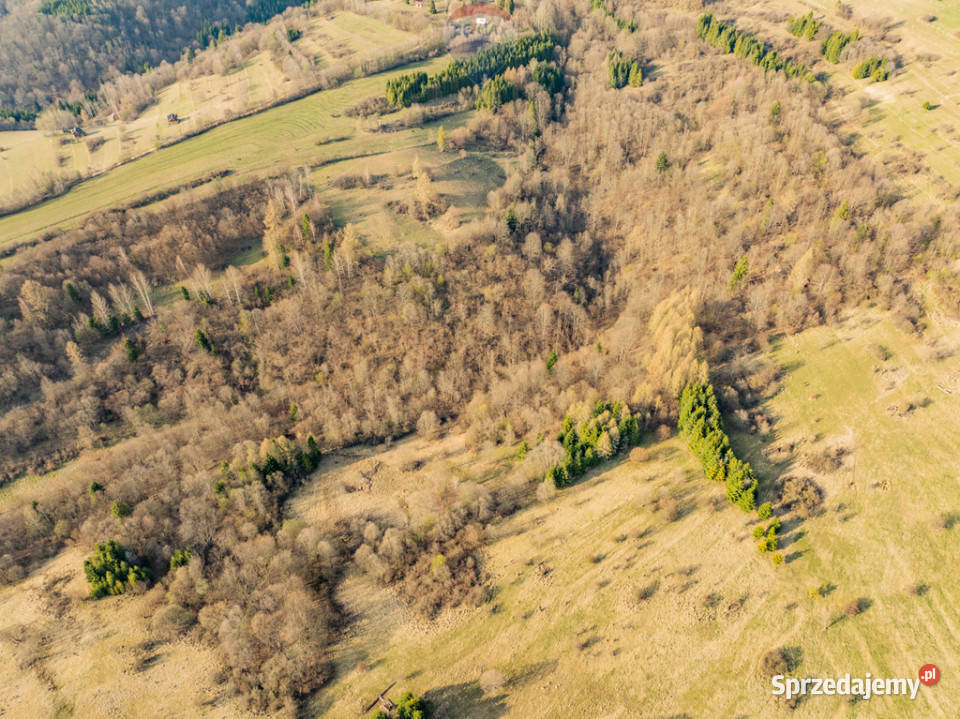 Szukasz prywatnego azylu w sercu Pienin