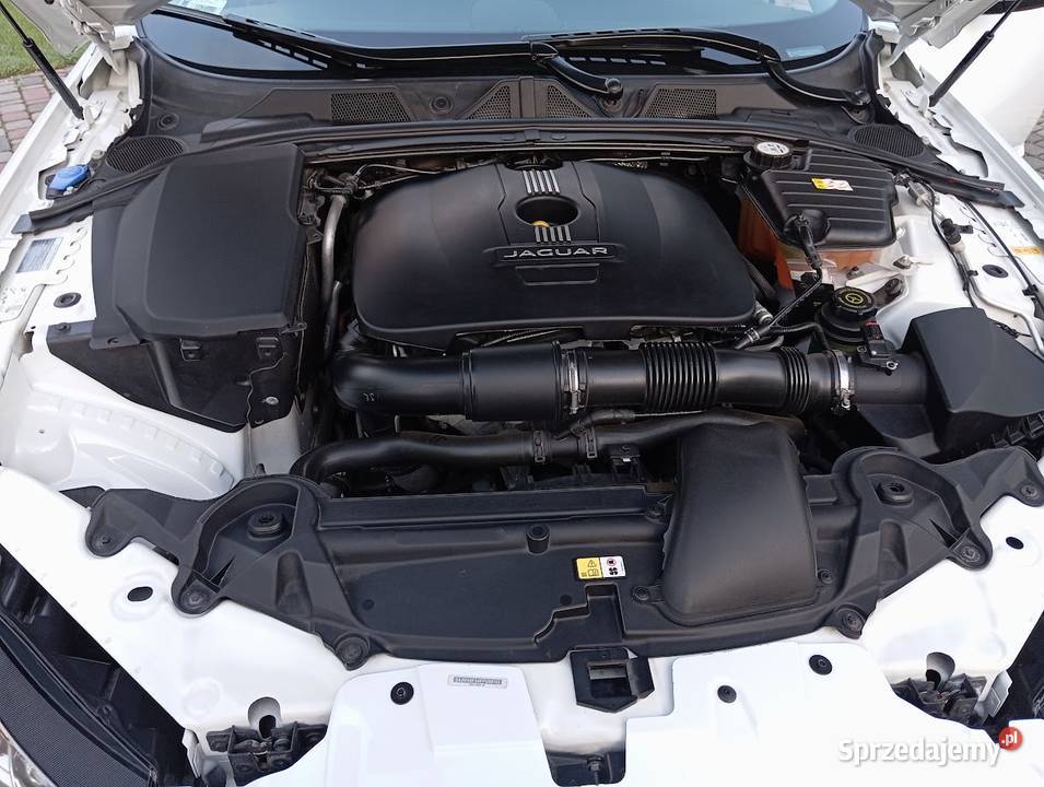 Jaguar XF 250 lift 2015 r 64 Chełm
